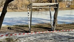 «Парящие» качели установят в парке «Везелица» в Белгороде