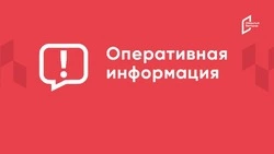 Мужчина подорвался на украинской мине в Шебекинском округе