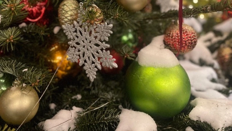 Пятиградусный мороз и небольшой снегопад ожидаются в Белгородской области в воскресенье