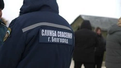 117 пляжей готовят к купальному сезону в Белгородской области