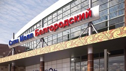 Общая сумма исковых требований белгородского «Сити Молла» к сети «Европа» превысила 5 млн рублей