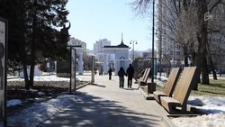 Тёплая малооблачная погода ждёт белгородцев в четверг
