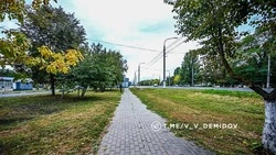 Более восьми тысяч молодых деревьев и кустарников украсят проспект Б. Хмельницкого в Белгороде
