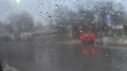 Конец рабочей недели может встретить белгородцев дождём и мокрым снегом 