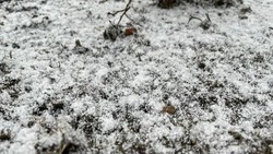 Снег, гололëд и плюсовая температура ожидаются в Белгородской области в четверг