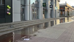 Улицу в районе Центрального рынка Белгорода затопило из-за порыва канализации