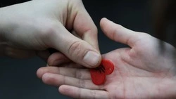 Фото белгородского фотографа стало обложкой нового альбома группы «Бонд с кнопкой»