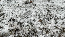 Заморозки и мокрый снег ожидаются в Белгородской области в понедельник