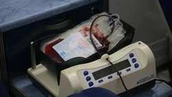 Более 100 литров крови заготовили белгородцы в Национальный день донора