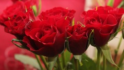 9990 тонн цветов оформили на таможне России в преддверии 8 марта