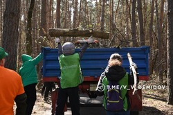 Более 900 кубов сухостоя убрали белгородцы на областном субботнике в урочище Пески в Белгороде