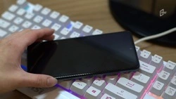 Белгородцы смогут проконсультироваться по вопросам платных образовательных услуг 