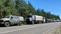 Белгородская область направила очередной гуманитарный груз в зону СВО, сообщил Гладков