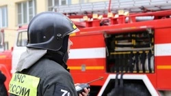 59 белгородцев, включая двоих детей, погибли при пожарах с начала 2025 года