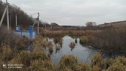 Росприроднадзор обратится в прокуратуру по факту разлива канализации под Белгородом
