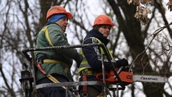 Коммунальщики устраняют последствия непогоды в Белгороде 