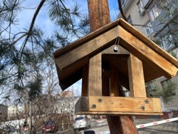 Лишь 13,7% белгородских семей могут взять ипотечное жильё по рыночной ставке