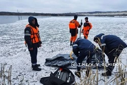 Белгородские спасатели освободили вмёрзшего в лёд лебедя