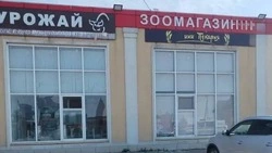 Один человек погиб, пятеро ранены после атак украинских дронов в Белгородском и Шебекинском округах