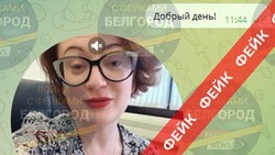 Фейк: глава белгородского Минкома рассылает белгородцам документы от ФСБ