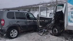 Водитель легковушки погиб после столкновения с грузовиком в Белгородской области