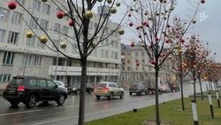 Первый рабочий день в 2025 году начнётся с тепла в Белгородской области 