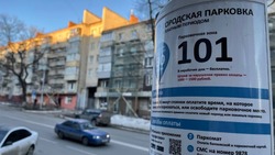Депутаты белгородского горсовета не поняли трактовку об изменении правил работы парковки 
