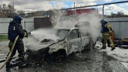 Почти две сотни беспилотников выпустили ВСУ по Белгородской области за сутки