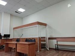 Белгородец предстанет перед судом за госизмену