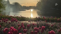 Мэрия Белгорода выделила 16 млн рублей на благоустройство правого берега Везёлки