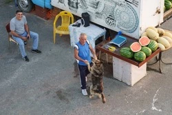 И пусть весь мир подождёт: танцующего с собакой продавца арбузов нашли в Белгороде