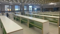 Около 142 млн рублей направили на выплаты на питание белгородских детей погибших участников СВО 
