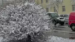До минус 13 градусов похолодает в Белгородской области в ночь на среду