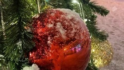 Морозная ночь ожидает белгородцев на старый Новый год