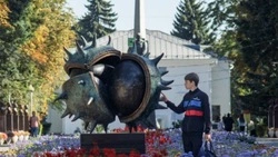 Коронавирус, мозг или морская мина: белгородцы обсудили новый арт-объект в центре Губкина