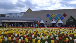 В Белгороде снова проведут фестивали «Белгородское лето» и « Белгород в цвету» 