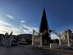 Главную новогоднюю ёлку Белгородской области начали украшать в Белгороде