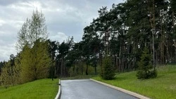 Жара спадёт в Белгородской области в выходные