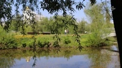 В Белгородской области похолодает до плюс 20 градусов во вторник 