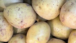 Цены на картофель в Белгородской области могут снизиться в июле