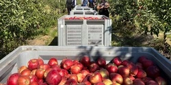 На поддержку белгородских сельхозпредприятий направили 4 млрд рублей в 2024 году 