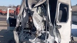 Около 150 беспилотников ВСУ атаковали Белгородскую область в течение суток