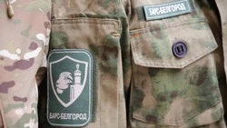 «Провокация или глупость»: Гладков пообещал проверить сбор средств на обеспечение «Барс-Белгород»