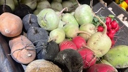 В 2,4 раза вырос экспорт растительной продукции из Белгородской области