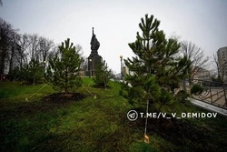 В Белгороде высадили более 500 деревьев на проспекте Хмельницкого