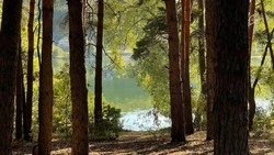 Охрана лесов усилена в Белгородской области на майские праздники
