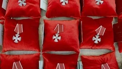 В Белгородской области вручили государственные награды семьям погибших на СВО героев