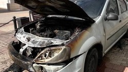 45 пожаров зафиксировано в Белгородской области в течение недели