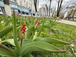 В Белгороде завершился отопительный сезон
