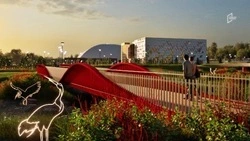 Проект благоустройства территории ФОКа в Белгороде обойдётся 27,7 млн рублей